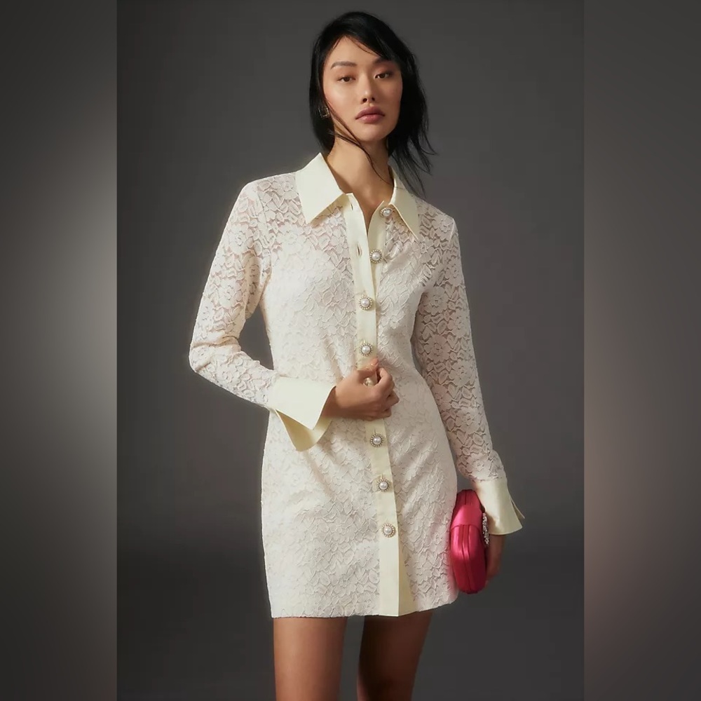 ANTHROPOLOGIE LACE SHIRT DRESS